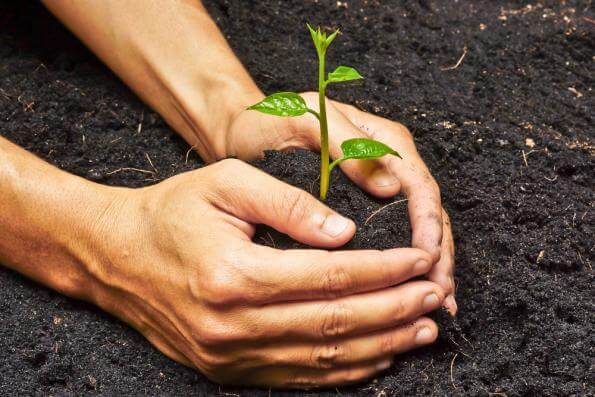 Plant Yourself in Good Soil